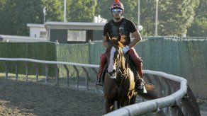 California Chrome ya está listo para el Belmont