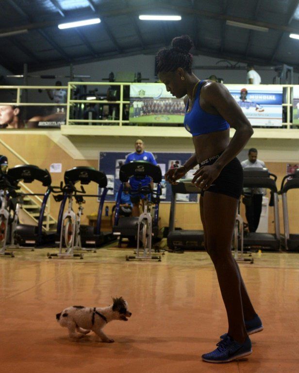 Policía boxeadora busca nueva medalla olímpica para Panamá