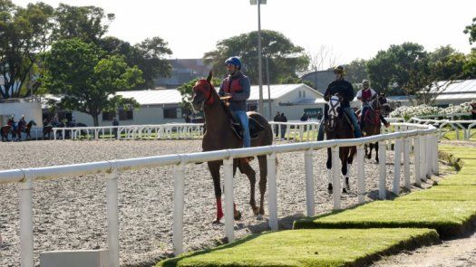 El Gran Premio Ramírez: historias de pasión por el turf y los caballos