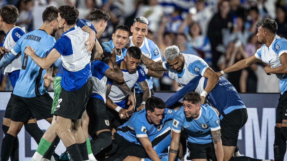 Stunning ¡fiesta Charrúa! Conmebol Presumió Ambiente De Aficionados De Uruguay En Miami Landscape Illustration Stunning ¡fiesta Charrúa! Conmebol Presumió Ambiente De Aficionados De Uruguay En Miami Landscape Illustration