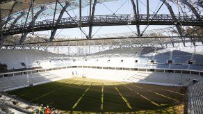 Organizadores: Saltamontes no afectarán canchas del Mundial