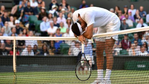 Fognini derriba a Del Potro y se lleva el título de Los Cabos