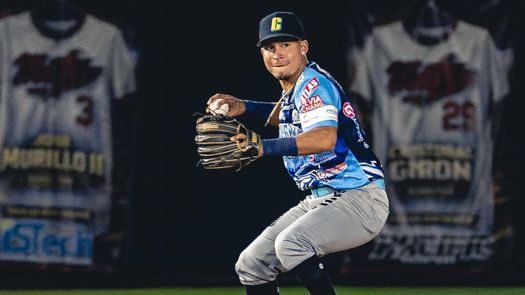 Béisbol Mayor 2026: Partido para hoy martes 14 de abril en semifinales Béisbol Mayor 2026: Partido para hoy martes 14 de abril en semifinales