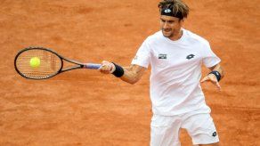 David Ferrer gana a Dolgopolov en la final de Bastad