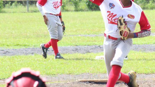 Fedebeis revela la Pre U14 para el Panamericano
