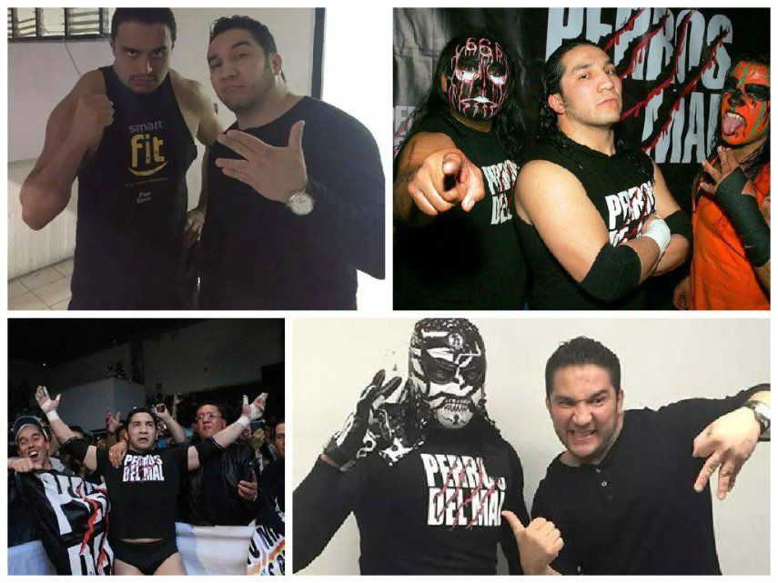 Muere luchador en México tras golpe en cuadrilátero