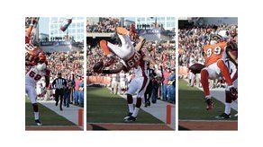 NFL: Bengals 23