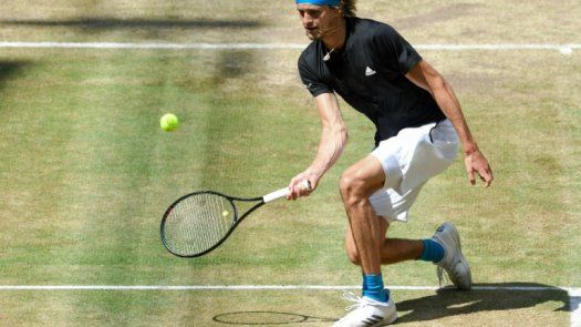 Zverev cae en cuartos en Halle, Federer elimina a Bautista