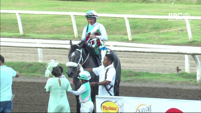 Clásico Presidente de la República 2023: Sol Príncipe Gris se lleva la gran carrera&nbsp;