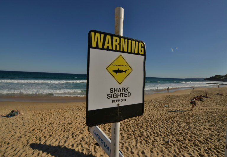 Anulan una competición de surf en Australia tras ataques de tiburones