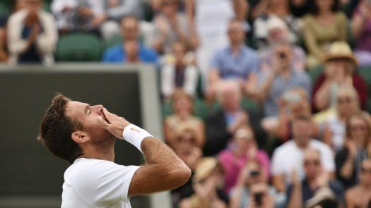 Del Potro avanza caminando a semifinales y Norrie da otra sorpresa en Los Cabos