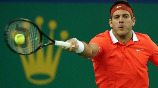 Problemas en la rodilla apartan a Del Potro de Indian Wells