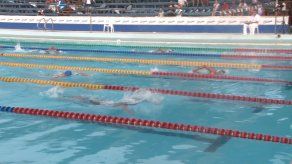Más de 470 nadadores participan en Panamá en el Torneo Delfín de Oro