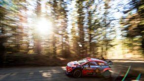Neuville busca repetir triunfo en Portugal frente a la amenaza de Ogier y Tänak