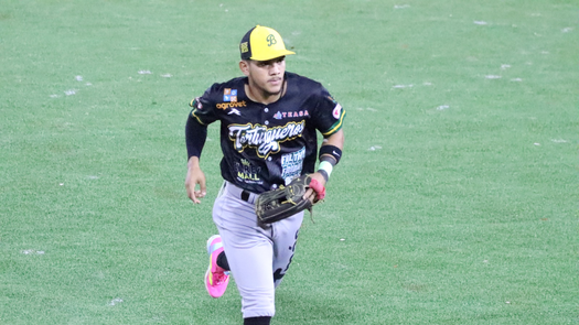 Béisbol Mayor 2026: Partido para hoy domingo 26 de abril