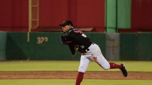 Béisbol Mayor 2025: Tabla de posiciones tras los partidos del lunes 14 de abril