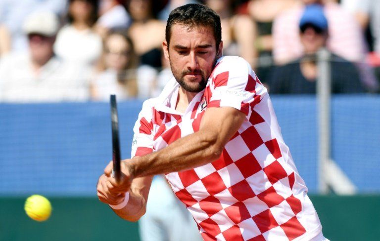 El tenista Cilic lidera lista de Croacia para final de Copa Davis contra Francia