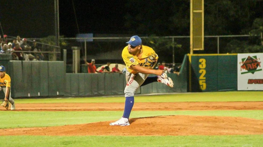 Béisbol Mayor 2024: Roster oficial de Herrera para el campeonato