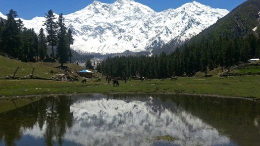 Hallados los cuerpos de alpinistas italiano y británico en montaña de Pakistán