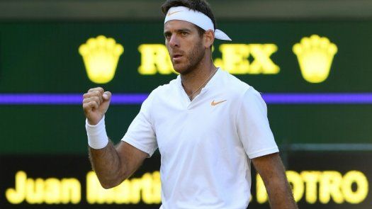 Del Potro batalló ante un desconocido pero impuso su jerarquía en Los Cabos